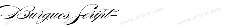 Burgues Seript字体转换